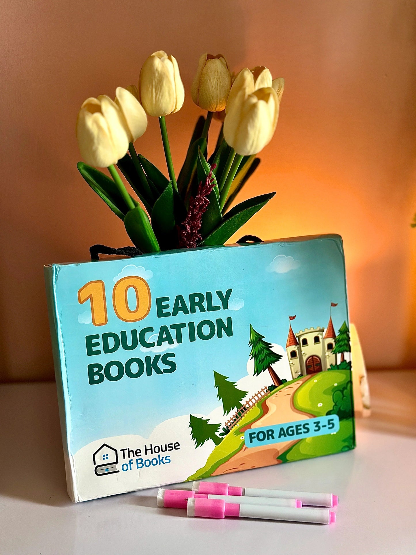 Write & Wipe Children Learning Book Set